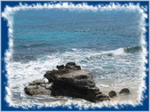 Enlarge photo 65