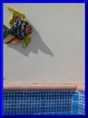 Enlarge photo 35