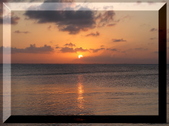 Enlarge photo 41