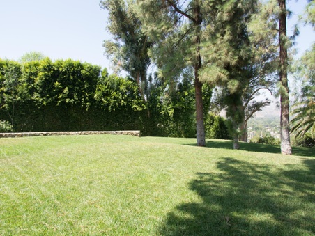 Enlarge photo 46