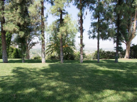 Enlarge photo 47