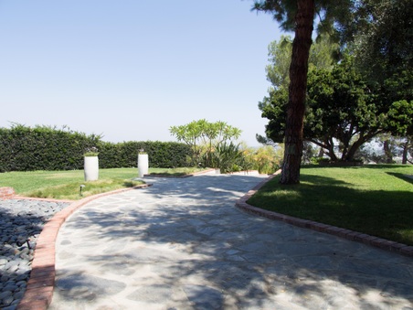 Enlarge photo 67