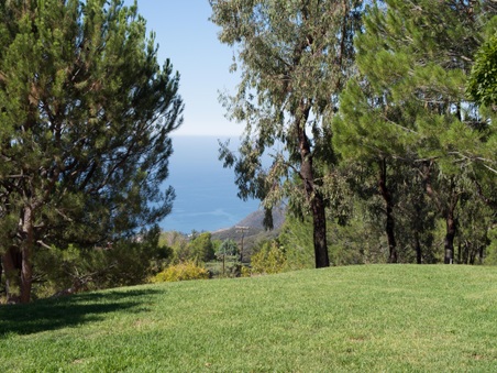 Enlarge photo 30