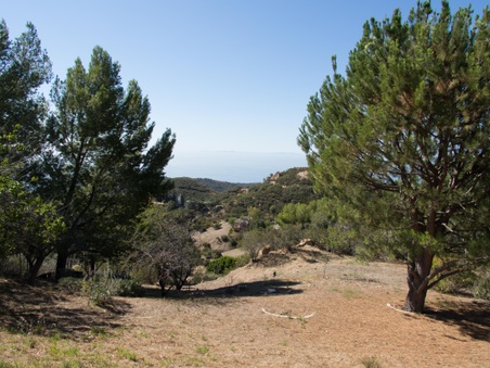 Enlarge photo 34