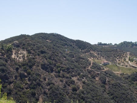 Enlarge photo 8
