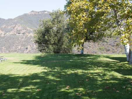Enlarge photo 32