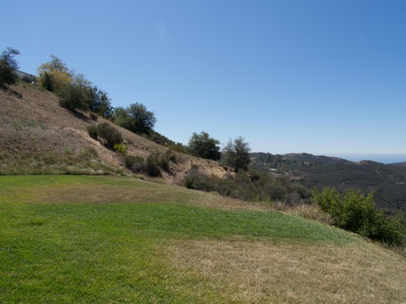 Enlarge photo 88