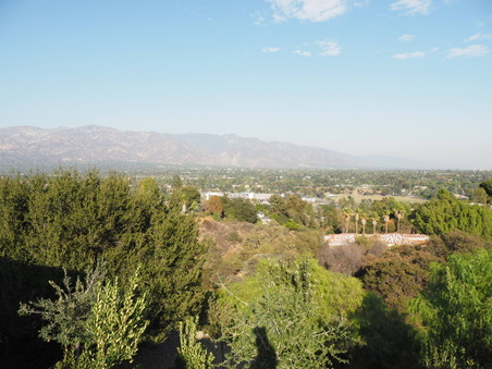Enlarge photo 16