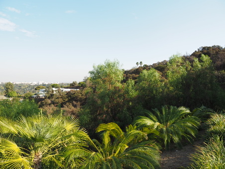 Enlarge photo 18