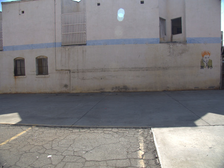 Enlarge photo 135