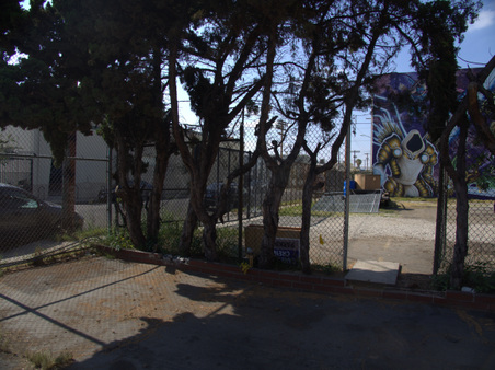 Enlarge photo 93