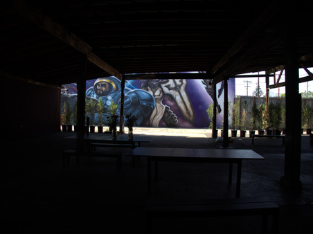 Enlarge photo 51