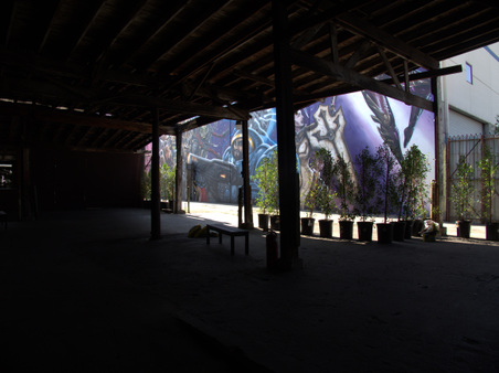 Enlarge photo 32