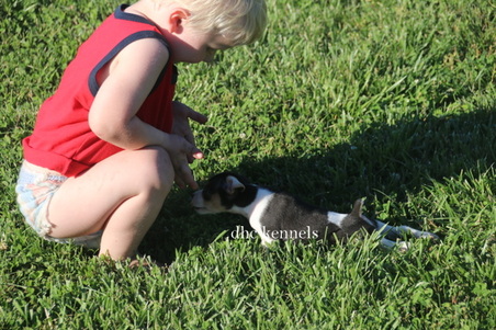 Enlarge photo 9