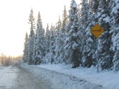 Alaska 2005