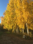 Enlarge photo 7