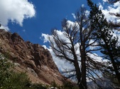 Enlarge photo 2