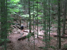 Enlarge photo 10