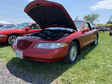 Enlarge photo 25