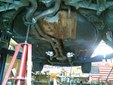 Enlarge photo 16
