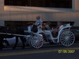 Enlarge photo 169