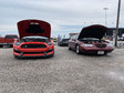 Enlarge photo 34
