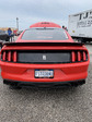 Enlarge photo 38