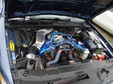 Enlarge photo 30