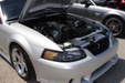 Enlarge photo 37