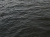 Enlarge photo 403