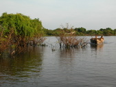 Enlarge photo 408