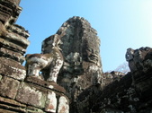 Enlarge photo 47