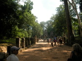 Enlarge photo 65