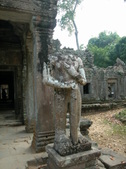 Enlarge photo 67
