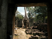 Enlarge photo 90
