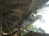 Enlarge photo 91