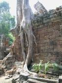Enlarge photo 92