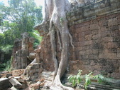 Enlarge photo 93