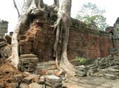 Enlarge photo 95