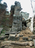 Enlarge photo 97