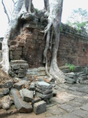Enlarge photo 98