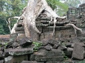 Enlarge photo 102