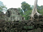 Enlarge photo 103