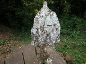 Enlarge photo 105