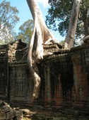 Enlarge photo 107