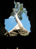 Enlarge photo 108