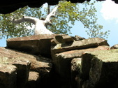 Enlarge photo 110