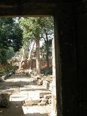 Enlarge photo 111