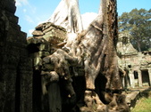 Enlarge photo 113