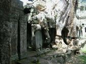 Enlarge photo 114